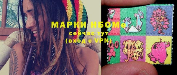 apvp Осташков